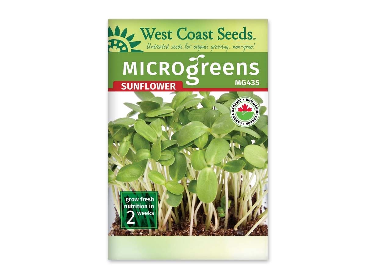 Sachet blanc West Coast Seeds pour micropousses de tournesol, avec le nom Sunflower en rouge sous un bandeau vert. La photo montre de grands cotylédons verts et des tiges pâles dressées au-dessus du terreau brun. Le code MG435 apparaît en haut à droite. Le logo biologique canadien est visible et un encadré vert indique deux semaines.
