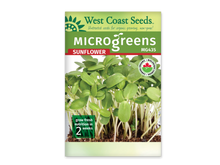 Sachet blanc West Coast Seeds pour micropousses de tournesol, avec le nom Sunflower en rouge sous un bandeau vert. La photo montre de grands cotylédons verts et des tiges pâles dressées au-dessus du terreau brun. Le code MG435 apparaît en haut à droite. Le logo biologique canadien est visible et un encadré vert indique deux semaines.