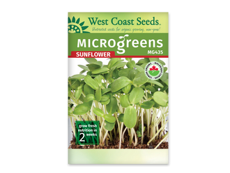 Sachet blanc West Coast Seeds pour micropousses de tournesol, avec le nom Sunflower en rouge sous un bandeau vert. La photo montre de grands cotylédons verts et des tiges pâles dressées au-dessus du terreau brun. Le code MG435 apparaît en haut à droite. Le logo biologique canadien est visible et un encadré vert indique deux semaines.