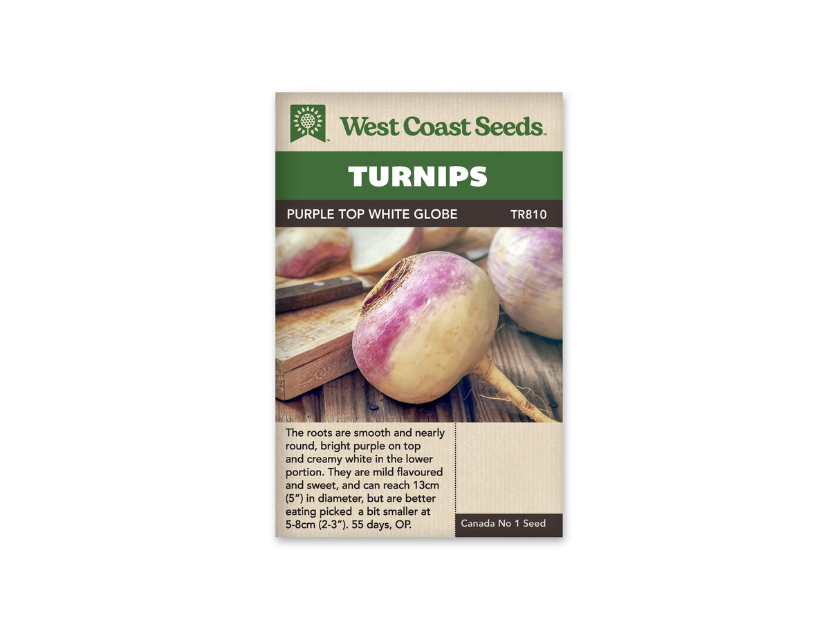 Sachet West Coast Seeds Purple Top White Globe montrant un navet rond à sommet violet et à base crème au premier plan. Une autre racine est visible à droite. Un morceau coupé et un couteau reposent sur une planche de bois derrière les légumes. Le nom de la variété figure dans le bandeau brun.