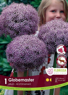 Allium Globemaster