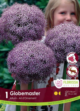 Ail ornemental ‘Globemaster’ ( Allium ) : une enfant derrière plusieurs grandes boules d’alliums violet pâle. Le visuel Florissa présente la plante et son nom dans la partie inférieure de l’étiquette. La photographie occupe presque toute la surface, tandis que le bandeau du bas rassemble les indications du produit. Cette vue permet de reconnaître son apparence et de distinguer la variété présentée.