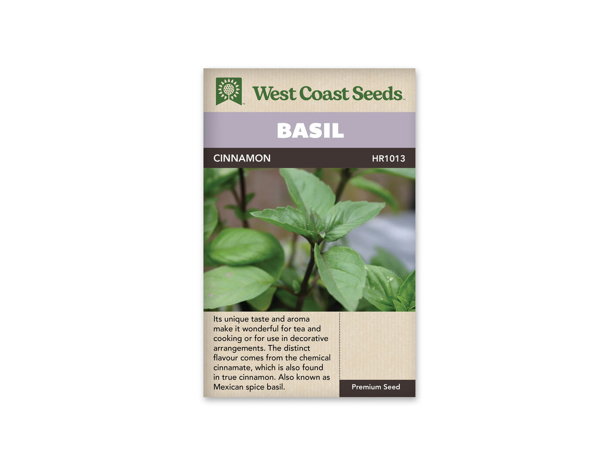 Sachet West Coast Seeds de Basilic ‘Cinnamon’, présenté de face sur fond blanc. La photo centrale montre des feuilles vertes ovales, disposées par paires autour de tiges sombres. Une pousse feuillue occupe le premier plan, devant un arrière-plan de jardin plus flou. Un bandeau mauve indique BASIL, au-dessus du nom imprimé sur fond foncé. Le bas beige contient un texte descriptif en anglais.