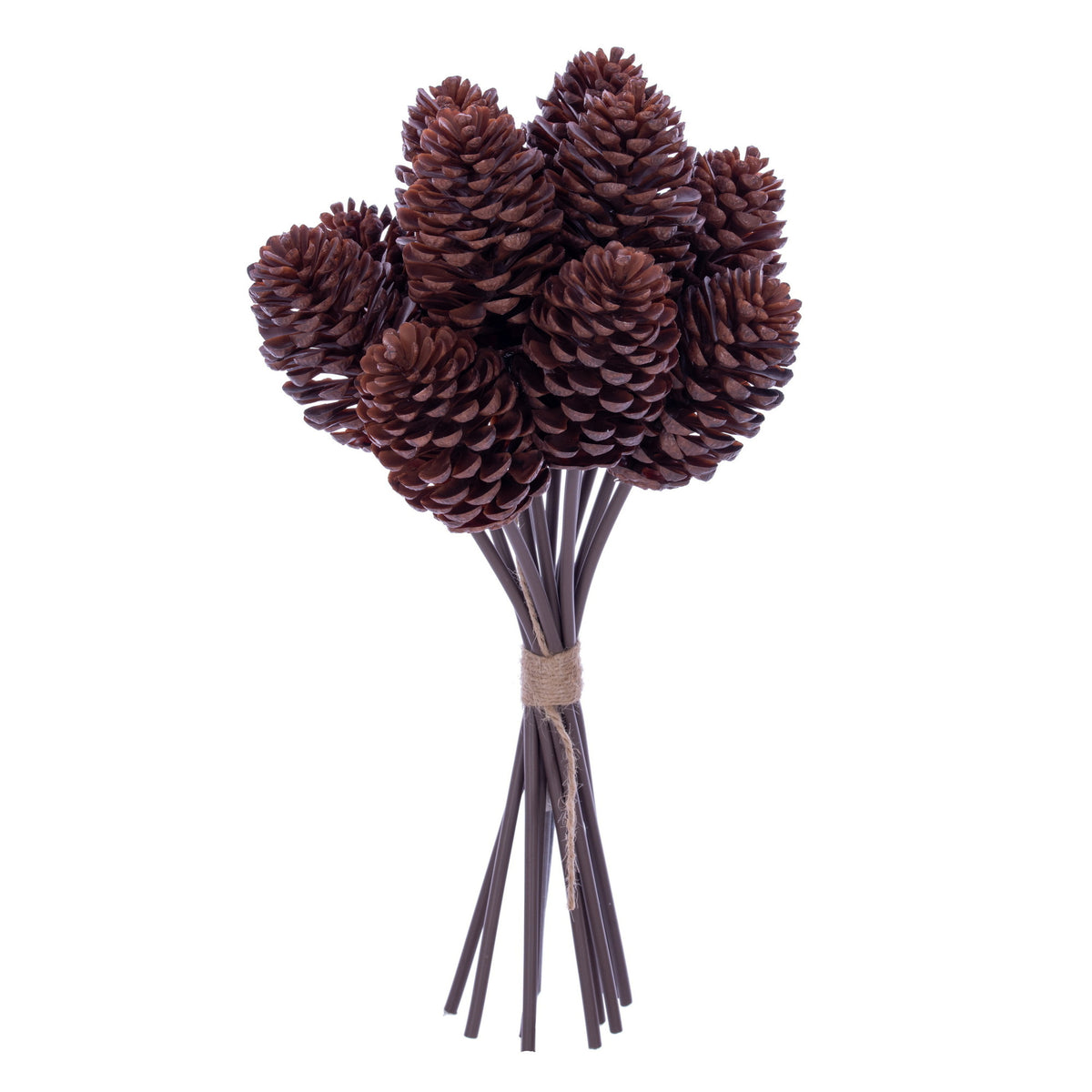 Tige décorative de cônes de pin — brun