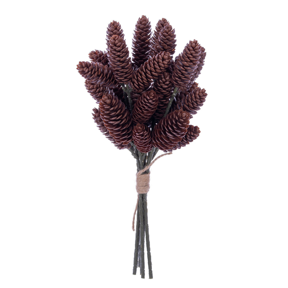 Branche décorative de cônes de pin — brun