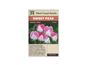 Sachet West Coast Seeds Painted Ladies montrant des fleurs de pois de senteur roses et blanches. Les grands pétales supérieurs sont roses, tandis que les parties centrales repliées sont blanches ou rose très pâle. Les tiges vertes se détachent devant un feuillage sombre et flou. Plusieurs corolles ouvertes sont regroupées au centre de la photo.