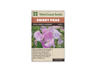 Sachet West Coast Seeds Royal Family Lavender avec des fleurs de pois de senteur mauve pâle. Des zones blanches éclairent le centre et les plis des pétales. Les corolles sont portées par des tiges vertes, devant un fond flou de feuillage et de fleurs claires. Le cadrage rapproché montre les bords ondulés des pétales.