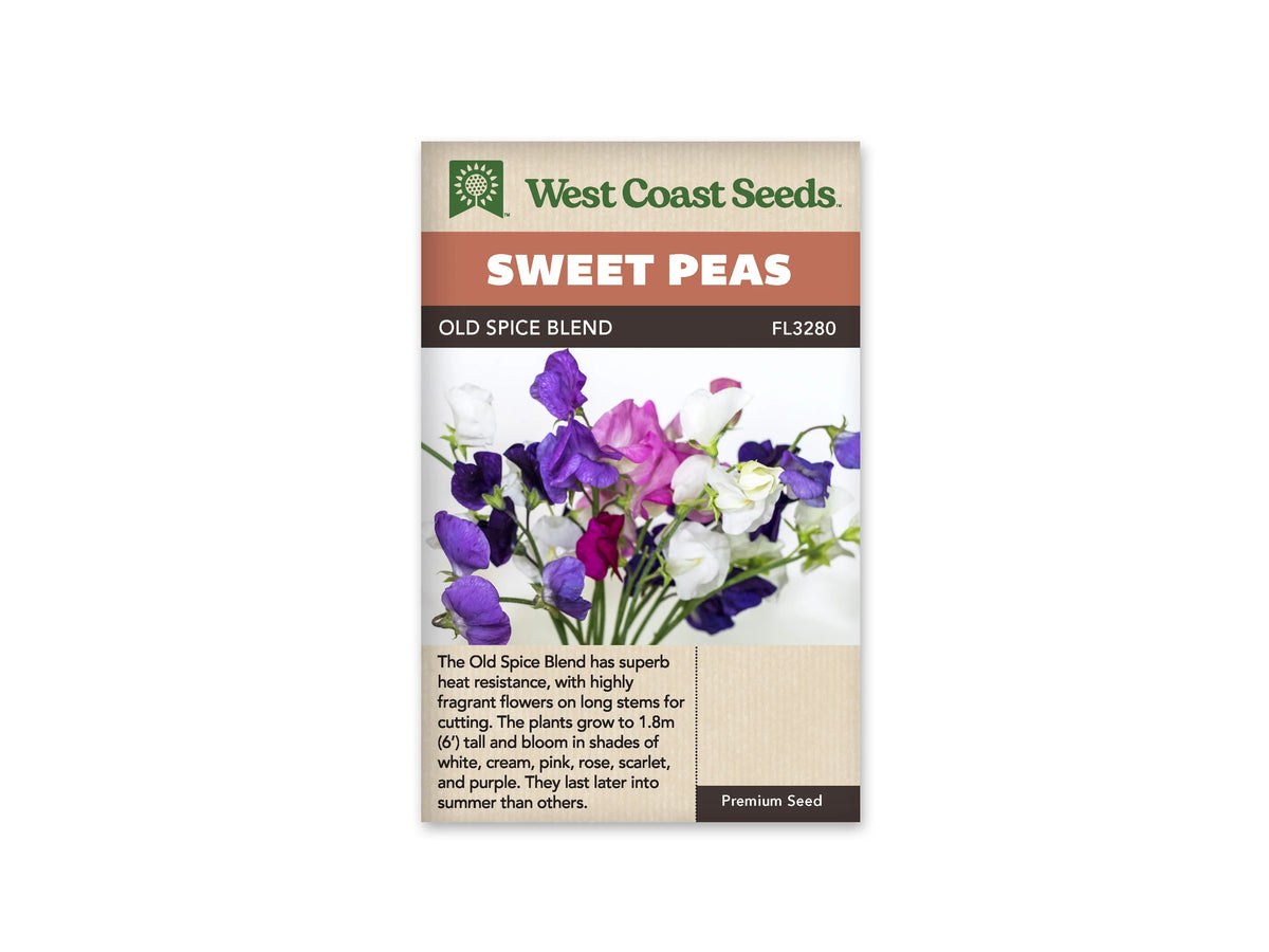 Sachet West Coast Seeds Old Spice Blend illustré de pois de senteur violets, lavande, blancs et roses. Les fleurs sont réunies devant un fond clair, avec leurs longues tiges vertes visibles vers le bas. Certains pétales plus foncés contrastent avec les corolles pâles. Le groupe floral occupe presque toute la largeur de la photo.