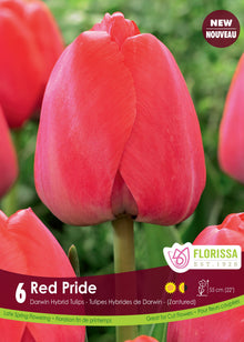 Tulipe Red Pride ( Tulipa ) : une tulipe rouge rosé en coupe arrondie. Le visuel Florissa présente la plante et son nom dans la partie inférieure de l’étiquette. La photographie occupe presque toute la surface, tandis que le bandeau du bas rassemble les indications du produit. Cette vue permet de reconnaître son apparence et de distinguer la variété présentée.