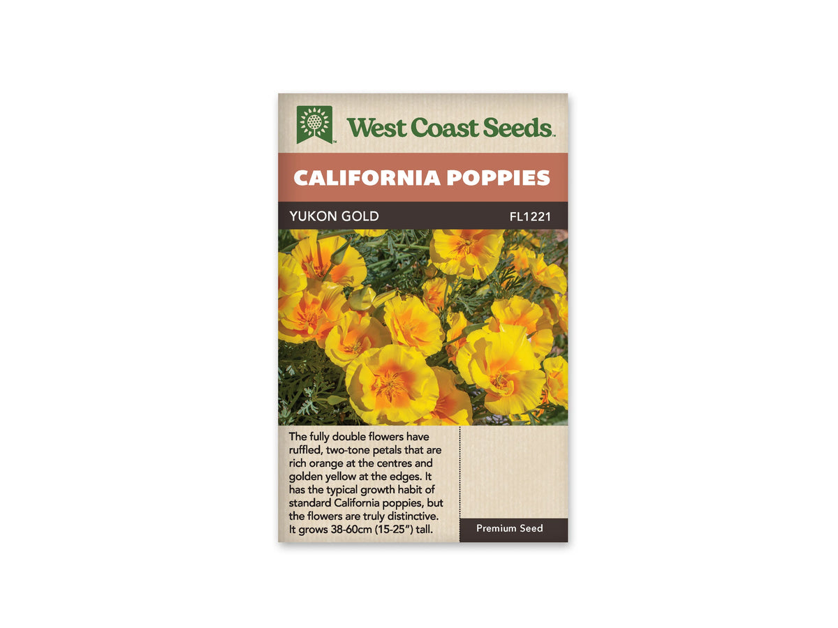 Sachet Yukon Gold de West Coast Seeds sur fond blanc. La photo présente des fleurs jaunes au centre orange, avec des pétales ondulés et plusieurs rangs visibles sur certaines corolles. Des boutons verts et un feuillage finement découpé entourent les fleurs ouvertes. Le bandeau orange indique California Poppies et la bande brune porte Yukon Gold, code FL1221.