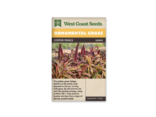 Sachet West Coast Seeds Copper Prince montrant des millets aux larges feuilles vert doré, cuivre et acajou. De longs épis pourpres se dressent au-dessus du feuillage arqué. Les plantes forment un groupe dense dans une parcelle ensoleillée. Un sol clair et quelques herbes vertes apparaissent derrière les touffes, sous la bande jaune du sachet.