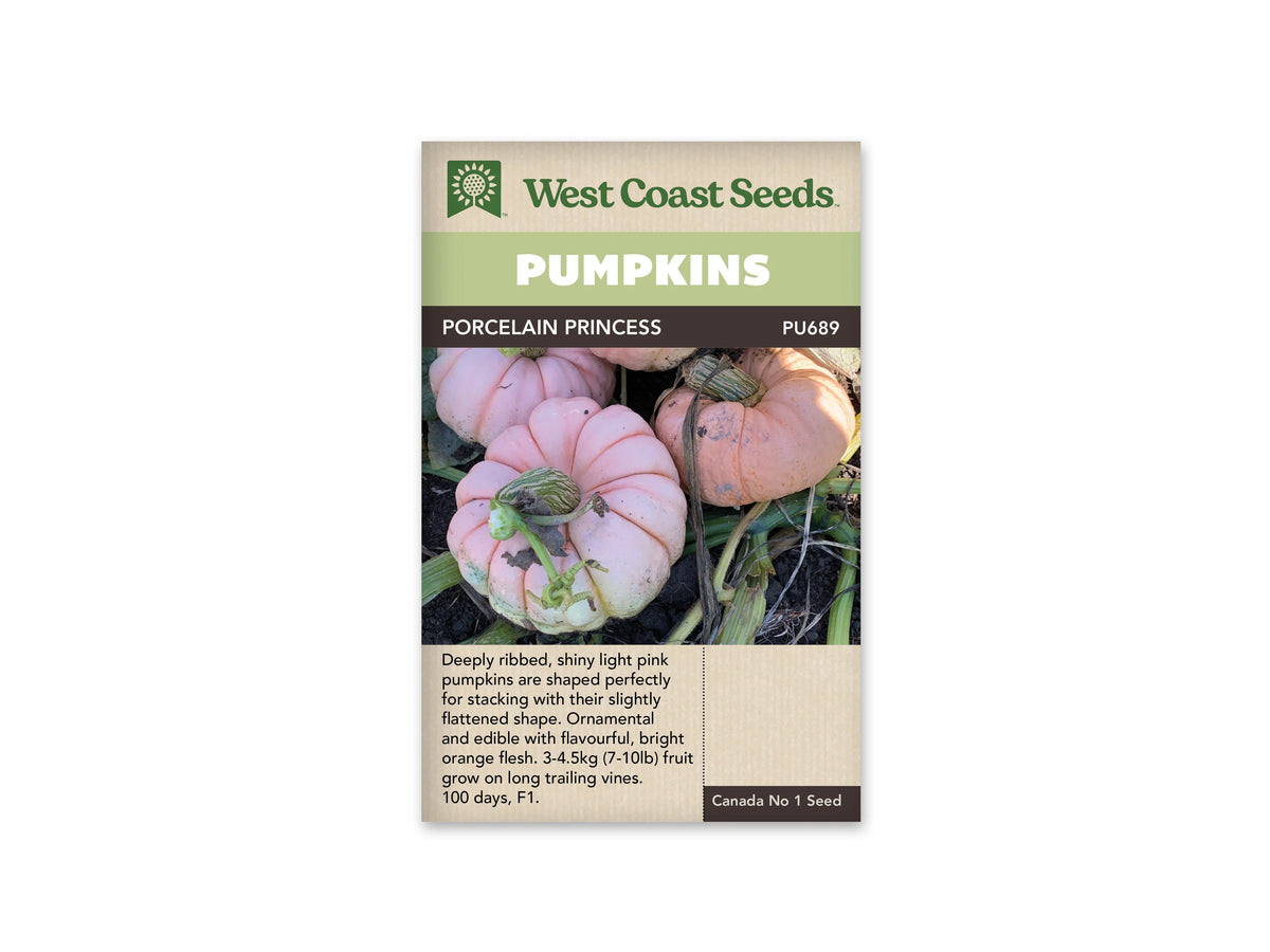Sachet Porcelain Princess de West Coast Seeds avec un bandeau vert pâle et le nom blanc sur fond brun. Des citrouilles rose pâle, aplaties et très côtelées, reposent au sol parmi des tiges. Le fruit au premier plan porte un pédoncule strié de vert et de beige. Du texte figure sous la photo.