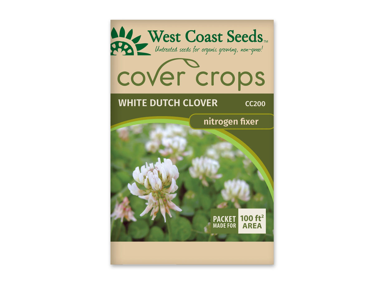 Sachet beige et vert West Coast Seeds de la gamme Cover Crops, portant le nom anglais White Dutch Clover et le code CC200. La photo centrale montre des têtes de fleurs blanches légèrement rosées au-dessus de feuilles vertes arrondies. Un encadré vert et blanc dans le coin inférieur droit annonce une couverture de 100 pieds carrés. Le sachet est présenté sur fond blanc.