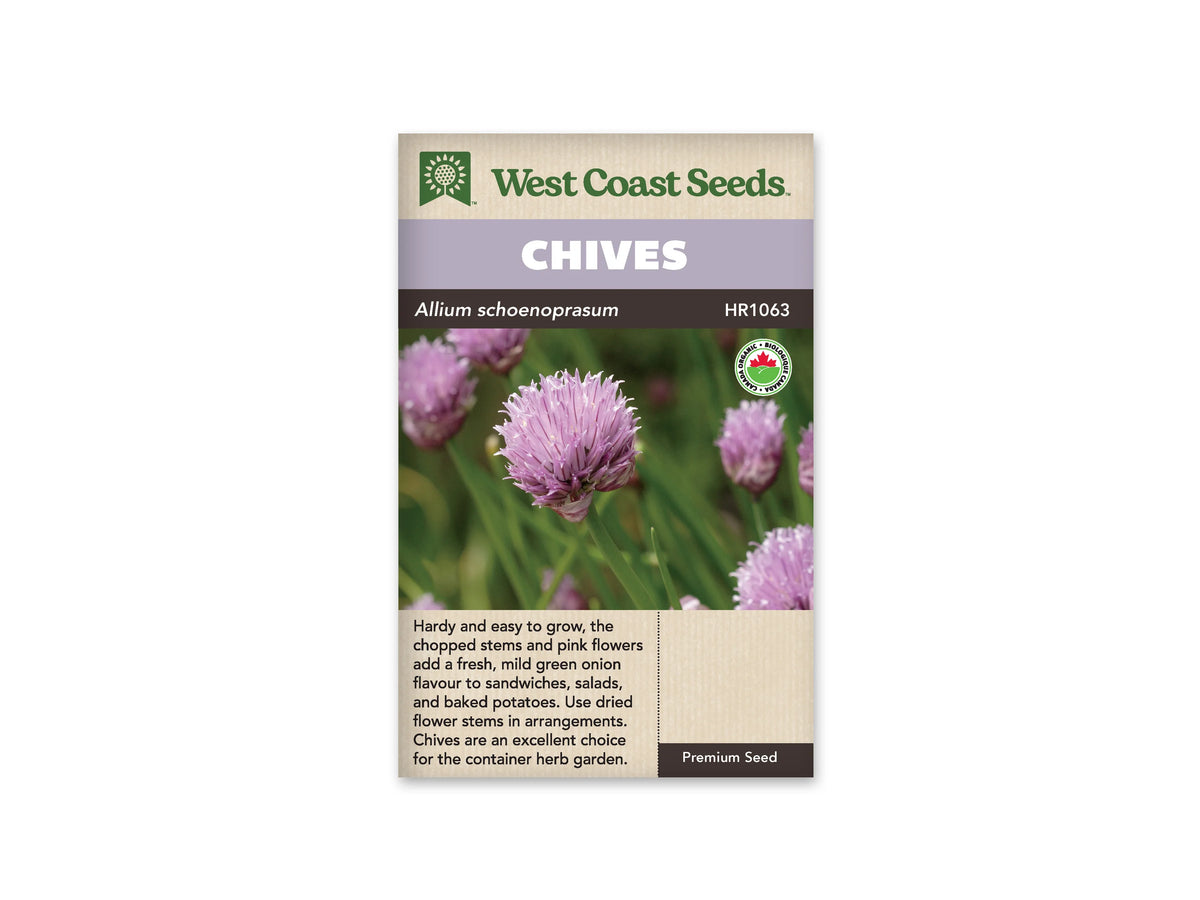 Sachet de ciboulette West Coast Seeds sur fond blanc. La photographie montre des feuilles vertes étroites et dressées, surmontées de fleurs rondes roses à mauves. Le nom CHIVES apparaît dans le bandeau mauve du haut. Le bas beige comporte du texte en anglais et un symbole biologique. Le sachet est présenté seul, vu de face.