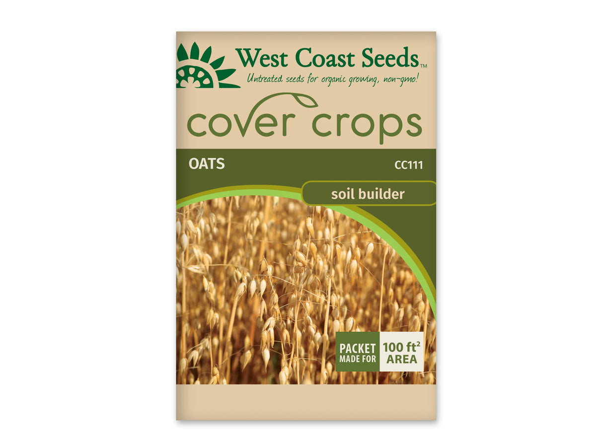 Sachet beige et vert West Coast Seeds de la gamme Cover Crops, portant le nom anglais Oats et le code CC111. La photo centrale montre des panicules dorées portant de petits épillets pendants, sur un fond de tiges mûres. Un encadré vert et blanc dans le coin inférieur droit annonce une couverture de 100 pieds carrés. Le sachet est présenté sur fond blanc.