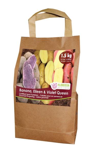 Potato 'Fingerling Combo Sack' (1.5 kg)