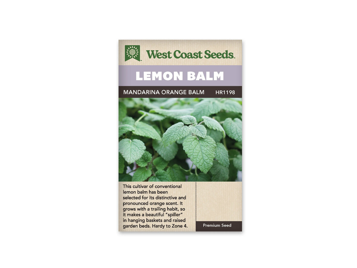 Sachet de mélisse Mandarina Orange Balm West Coast Seeds présenté de face sur fond blanc. La photographie montre de grandes feuilles vertes gaufrées, aux bords dentés, rapprochées autour de petites tiges. Le bandeau mauve porte LEMON BALM. MANDARINA ORANGE BALM apparaît sur la bande foncée, et une description en anglais occupe la partie beige inférieure.