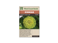 Sachet West Coast Seeds Benary’s Giant Lime avec une grande fleur ronde vert lime. Ses nombreux pétales arrondis se superposent autour d’un centre serré de la même teinte. Des feuilles vert foncé forment le fond. La photo occupe le milieu du sachet, sous le bandeau brun portant le nom de la sélection.