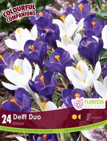 Harmonie Florale ‘Delft Duo’ ( Crocus spp.) : des crocus blancs et violets à cœur jaune. Le visuel Florissa présente la plante et son nom dans la partie inférieure de l’étiquette. La photographie occupe presque toute la surface, tandis que le bandeau du bas rassemble les indications du produit. Cette vue permet de reconnaître son apparence et de distinguer la variété présentée.