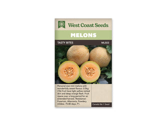 Sachet beige de semences Tasty Bites avec bandeau vert pâle et nom sur fond brun. Deux petits melons entiers à peau jaune brodée sont disposés derrière deux moitiés coupées. La chair orange pâle entoure des graines beiges et porte une fine bordure verte. Des feuilles vert foncé forment l'arrière-plan de la photographie sur le sachet.