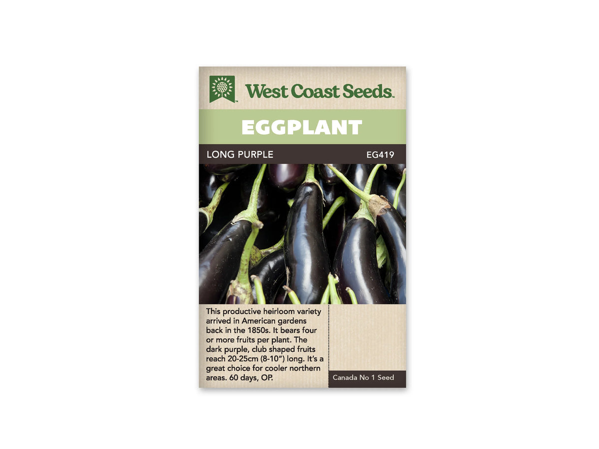 Sachet Long Purple de West Coast Seeds, avec une bande vert pâle et le nom sur fond sombre. La photo montre plusieurs aubergines longues violet très foncé, aux calices verts, serrées les unes contre les autres. Leurs peaux sont lisses et brillantes. Une zone beige avec du texte apparaît dans la partie inférieure du sachet.