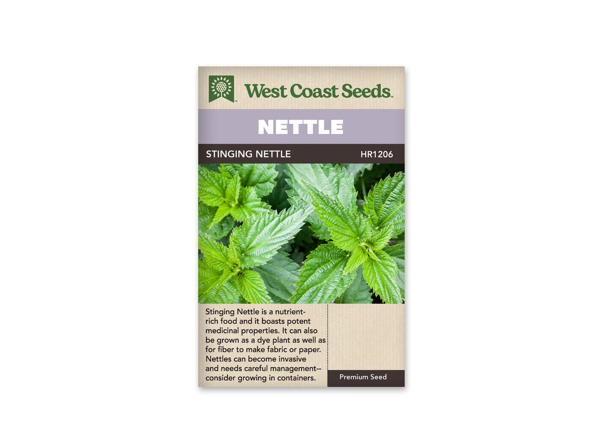Sachet de grande ortie West Coast Seeds portant les mentions Nettle et Stinging Nettle. La photo montre de jeunes feuilles vertes très dentées, disposées autour de pousses dressées, avec des nervures bien visibles. Le feuillage remplit l’image centrale. Le nom Nettle figure sur un bandeau mauve sous le logo vert de la marque.