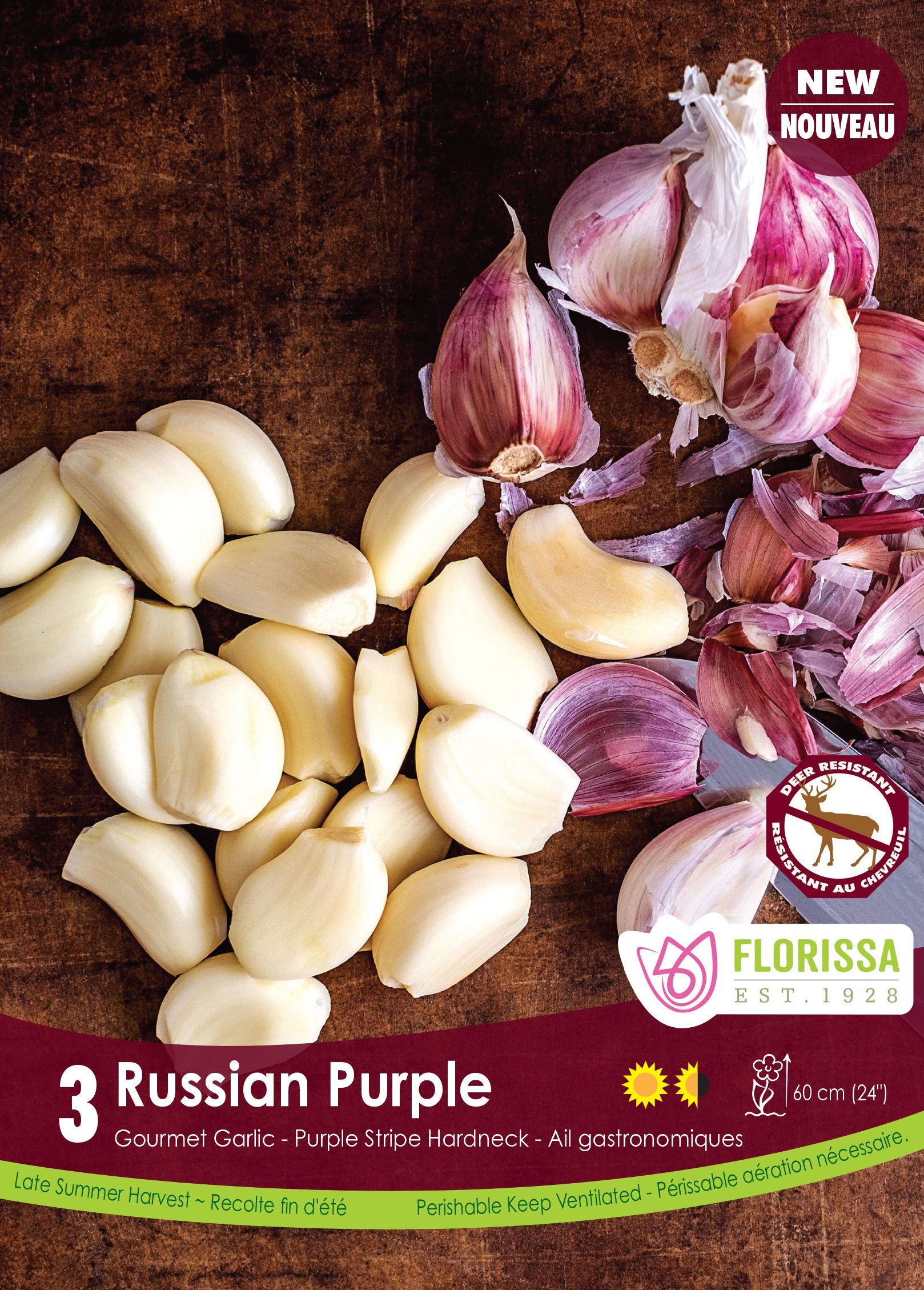 Russian Purple garlic (<em>Allium sativum</em> ‘Russian Purple’)