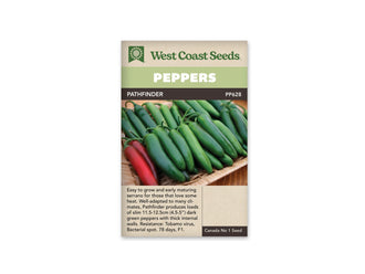 Sachet West Coast Seeds de piment Pathfinder, avec bandeau vert et nom sur une ligne foncée. La photo présente de nombreux fruits verts allongés, lisses et trapus, alignés dans un plateau sur une surface de bois. Quelques fruits rouges apparaissent sur le côté gauche. Les pédoncules sont visibles. Un texte descriptif figure dans le bas beige du sachet.