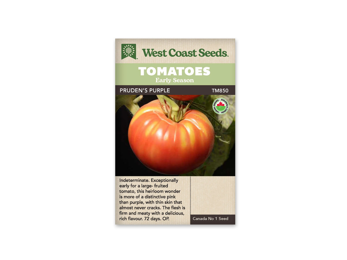 Sachet West Coast Seeds avec les mentions Tomatoes, Early Season et Pruden’s Purple. La photo montre une grosse tomate rouge orangé, aux épaules côtelées, attachée à une tige verte. Le fond comporte du feuillage sombre. Un logo biologique rond apparaît à droite, sous la bande portant le nom et le code TM850.