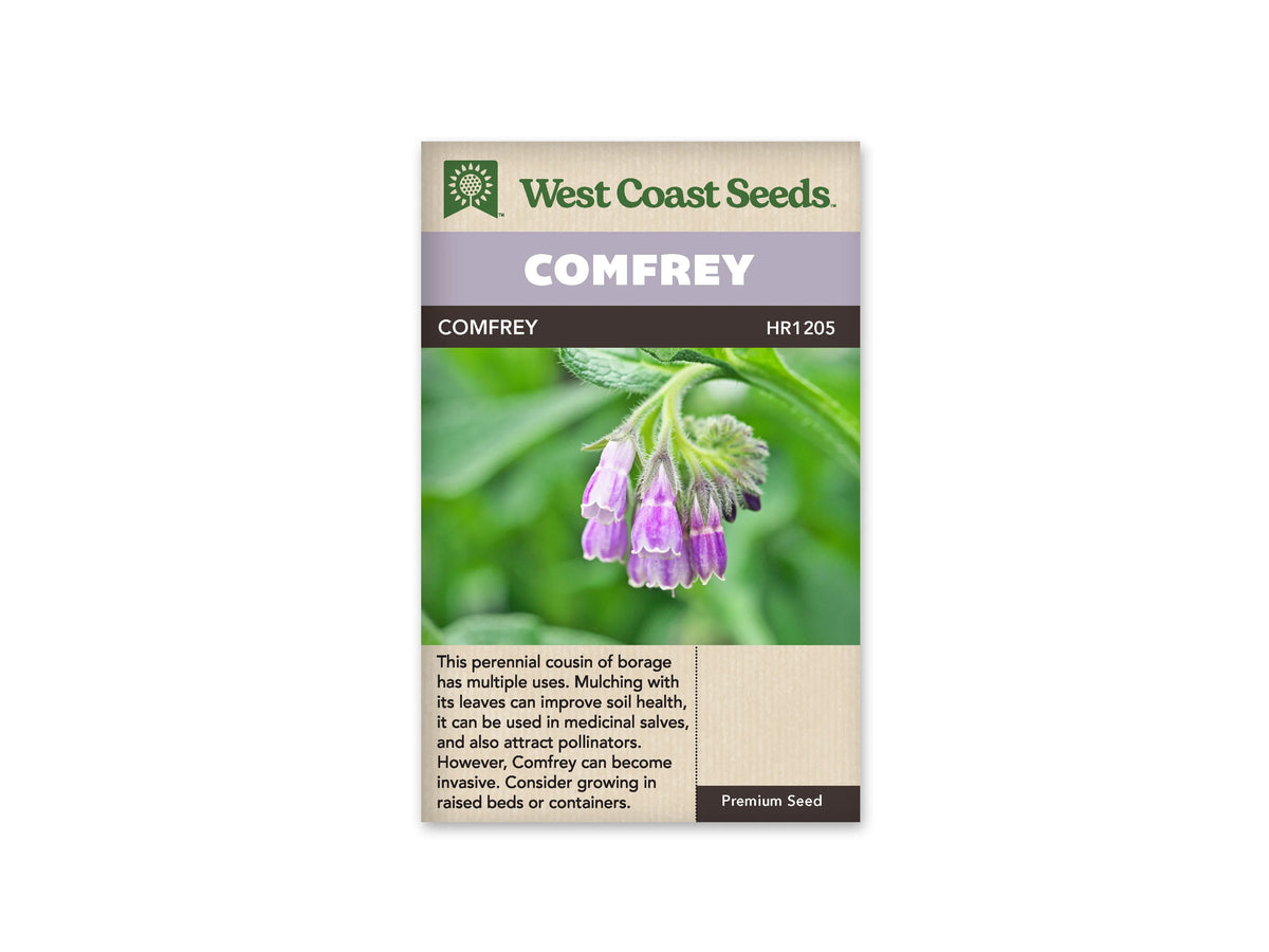 Sachet de consoude West Coast Seeds présenté de face sur fond blanc. La photographie montre des grappes de fleurs tubulaires violettes, penchées au bout de tiges vertes velues, parmi de grandes feuilles. Le bandeau mauve porte le nom COMFREY. La partie beige inférieure contient une description en anglais et le code du produit.