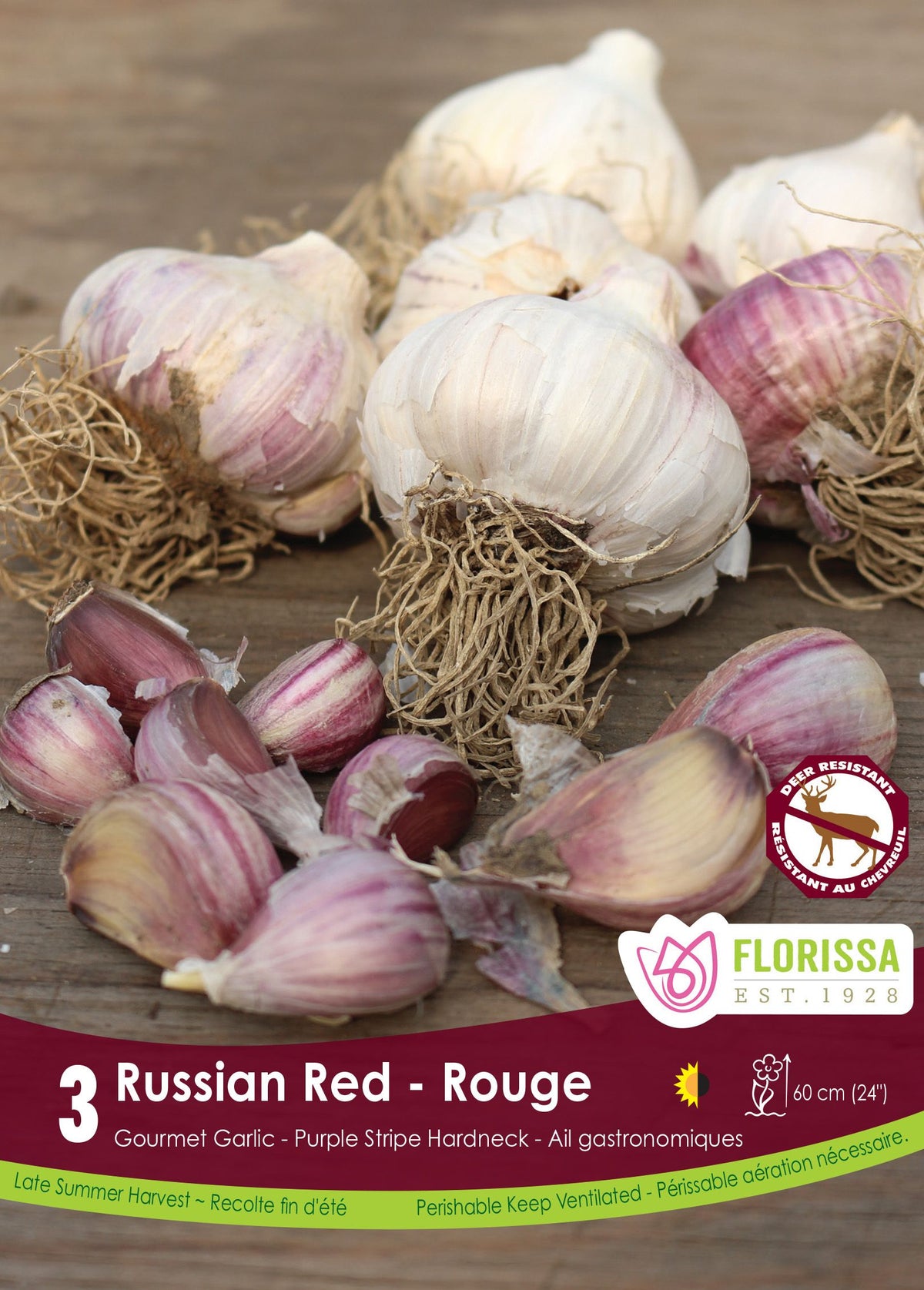 Ail Russian Red