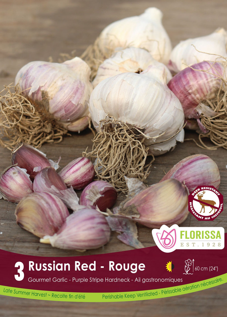 Ail Russian Red