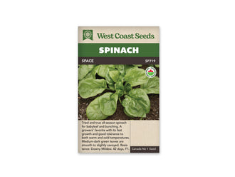 Sachet West Coast Seeds Space portant le code SP719 et un logo biologique rond. La photo montre une rosette d’épinard dans la terre, avec de grandes feuilles vertes autour du cœur. Leurs nervures et leurs surfaces légèrement gaufrées sont visibles. Le nom Space figure dans le bandeau brun placé sous le titre Spinach.