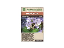 Sachet Purple Tansy de West Coast Seeds sur fond blanc. La photo montre un bourdon posé sur un groupe de fleurs mauve pâle, dont de longues étamines violettes dépassent largement. Les ailes de l’insecte sont visibles contre les petites corolles. Le fond vert est flou. Le bandeau orange indique Phacelia et la bande brune porte le code FL3445.