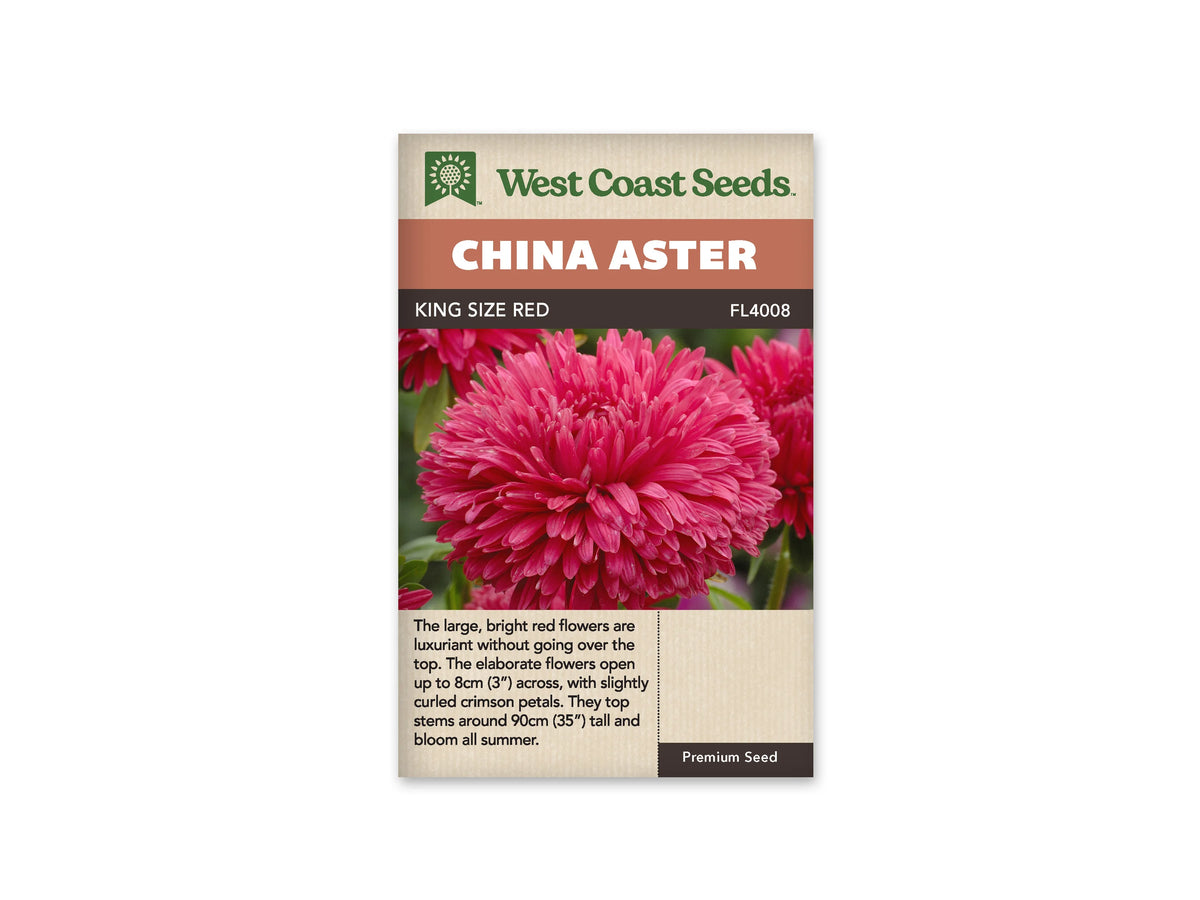 Sachet King Size Red de West Coast Seeds sur fond blanc. La photo montre une grande fleur rouge cramoisi, très fournie, avec de longs pétales serrés et courbés. Des feuilles vertes occupent l’arrière-plan. Le nom China Aster figure sur le bandeau orangé; King Size Red et la référence FL4008 se lisent dans la bande brune.