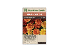 Sachet Strawberry Blonde de West Coast Seeds sur fond blanc. La photo montre plusieurs fleurs doubles aux pétales frisés, dans des tons jaunes, corail, pêche et rose rouge, sur un feuillage vert découpé. Les fleurs sont rapprochées et de tailles diverses. Le bandeau orange porte Marigolds, tandis que le nom Strawberry Blonde apparaît dans la bande brune.