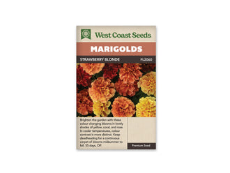 Sachet Strawberry Blonde de West Coast Seeds sur fond blanc. La photo montre plusieurs fleurs doubles aux pétales frisés, dans des tons jaunes, corail, pêche et rose rouge, sur un feuillage vert découpé. Les fleurs sont rapprochées et de tailles diverses. Le bandeau orange porte Marigolds, tandis que le nom Strawberry Blonde apparaît dans la bande brune.