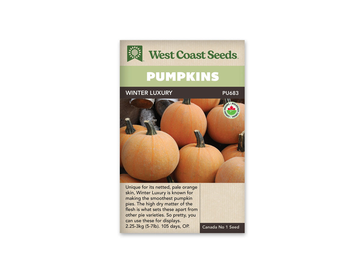 Sachet Winter Luxury de West Coast Seeds avec une bande vert pâle et le nom sur fond sombre. La photo montre plusieurs citrouilles rondes orange pâle, couvertes d’un fin réseau clair et munies de pédoncules dressés. Un logo biologique apparaît à droite. Des morceaux de bois sont visibles derrière les fruits; le bas du sachet est beige.