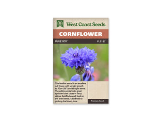 Sachet Blue Boy de West Coast Seeds sur fond blanc. Une grande fleur bleue occupe le centre de la photo, avec de nombreux pétales fins et un cœur plus sombre. Sa base verte et sa tige se voient devant un arrière-plan flou. Le bandeau orangé indique Cornflower; Blue Boy et FL2187 figurent dans la bande brune.