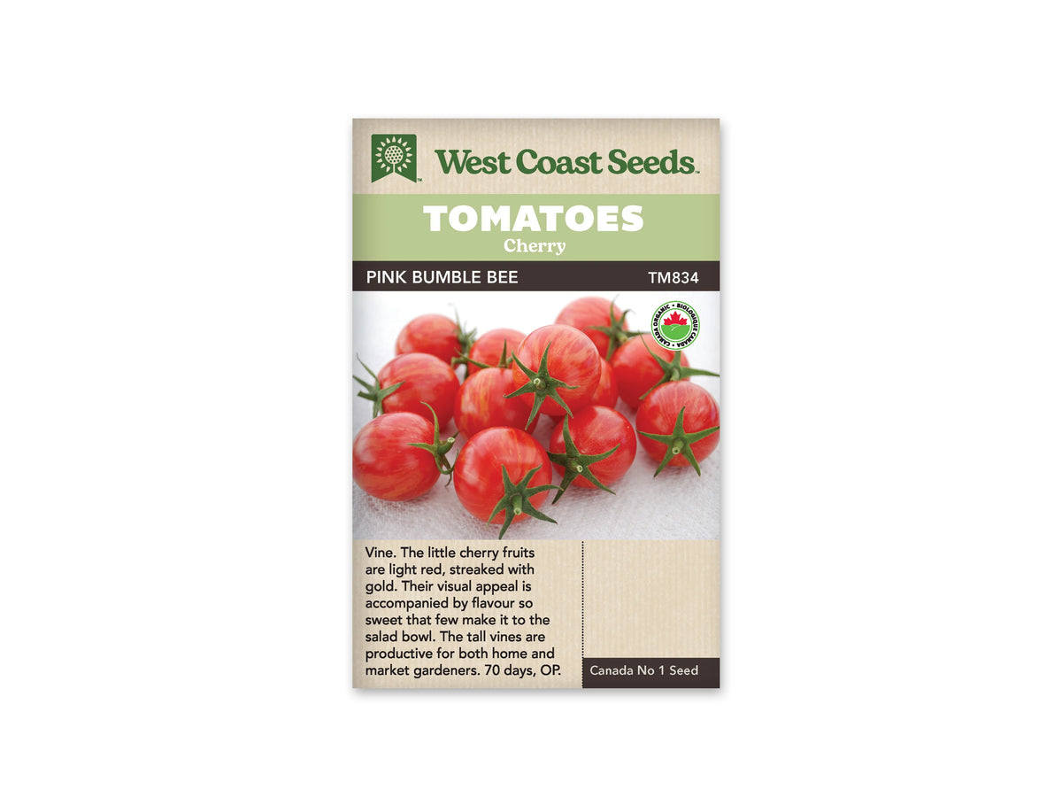 Sachet West Coast Seeds avec les mentions Tomatoes, Cherry et Pink Bumble Bee. La photo montre des tomates rondes roses à rouges, traversées de fines rayures claires, avec plusieurs calices verts visibles. Un logo biologique rond apparaît à droite. Le nom de la variété est inscrit sur une bande foncée sous le bandeau vert.