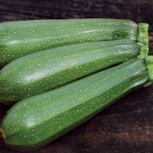 Zucchini vert bio