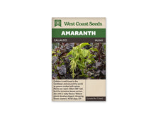 Sachet de semences d’amarante Callaloo de West Coast Seeds, présenté de face sur un fond blanc. L’emballage beige porte un bandeau vert et la référence MU569. Sa photographie montre un plant aux feuilles vertes et aux grappes florales pendantes, entouré de feuillages pourpres. Le nom Callaloo et les renseignements de culture sont imprimés en anglais.