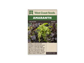 Sachet de semences d’amarante Callaloo de West Coast Seeds, présenté de face sur un fond blanc. L’emballage beige porte un bandeau vert et la référence MU569. Sa photographie montre un plant aux feuilles vertes et aux grappes florales pendantes, entouré de feuillages pourpres. Le nom Callaloo et les renseignements de culture sont imprimés en anglais.